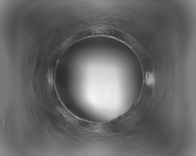 X0000080781155200612151421