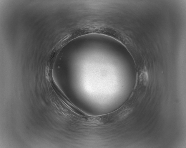 X0000080781156200612151421