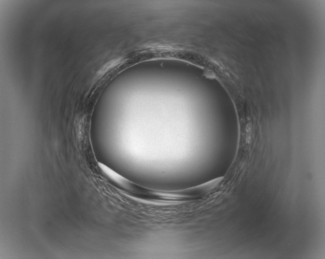 X0000080781157200612151421