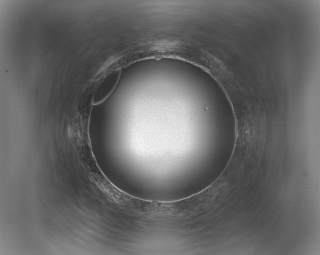X0000080781158200612151421