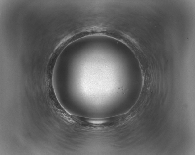 X0000080781160200612151421