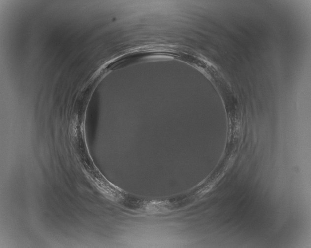 X0000080781161200612151421