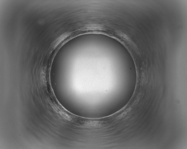 X0000080781162200612151421