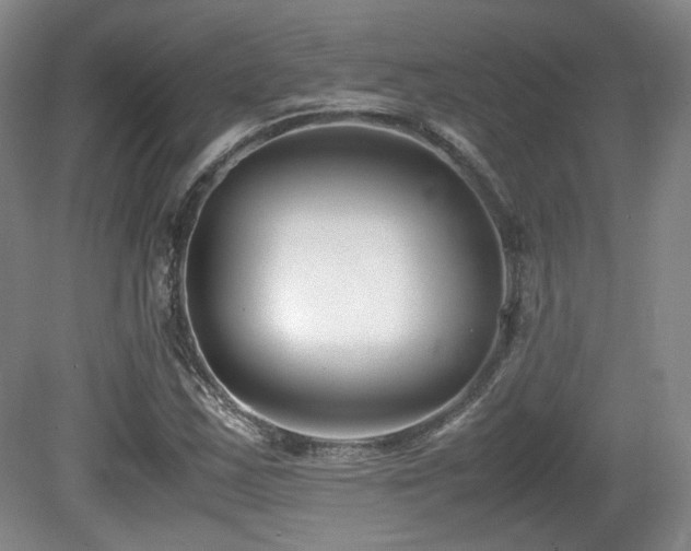 X0000080781163200612151421