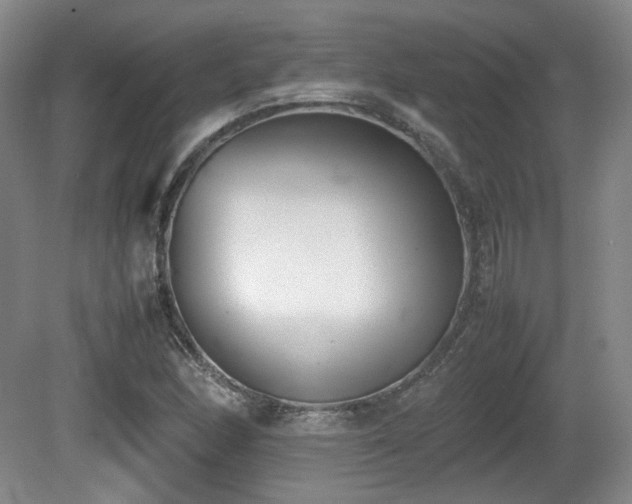 X0000080781166200612151421