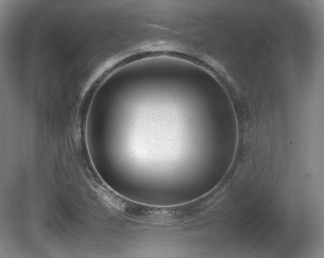 X0000080781167200612151421