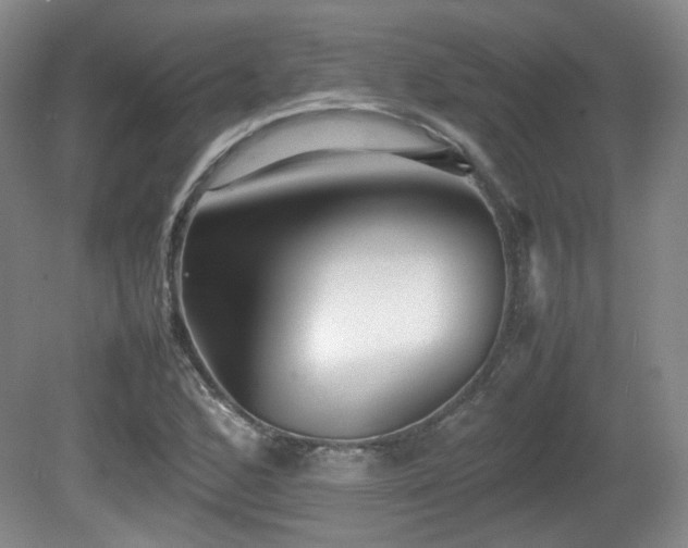 X0000080781168200612151421