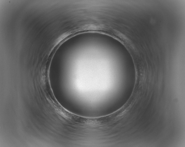 X0000080781170200612151421