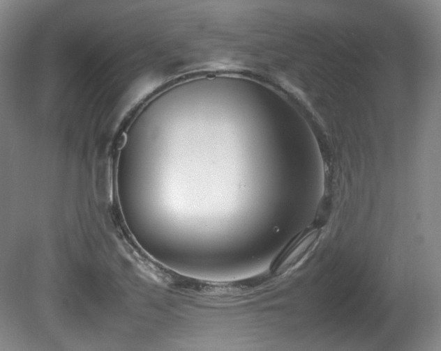 X0000080781171200612151421