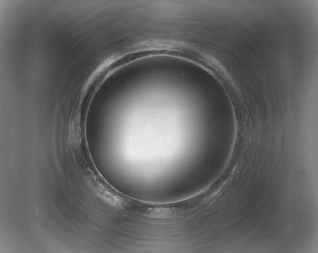 X0000080781172200612151421
