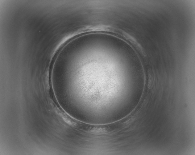 X0000080781174200612151421
