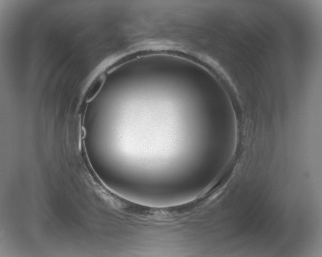 X0000080781175200612151421