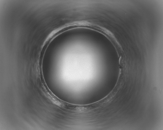 X0000080781176200612151421