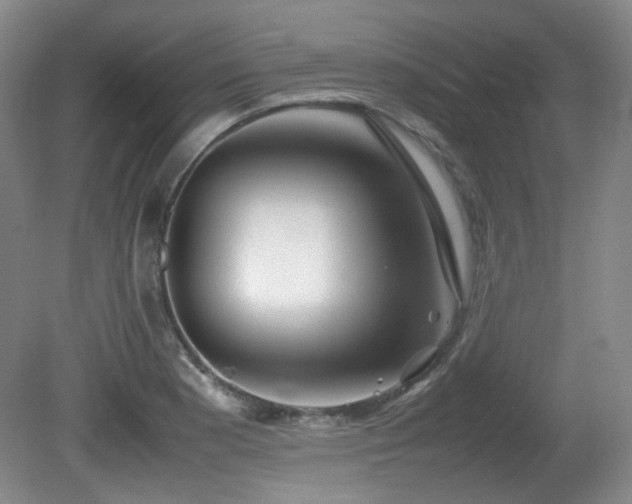 X0000080781177200612151421