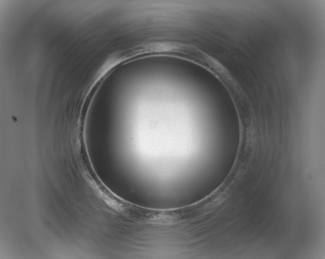 X0000080781178200612151421