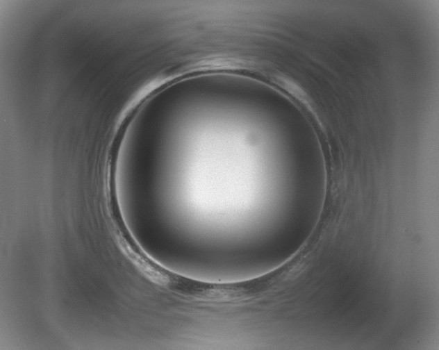 X0000080781179200612151421