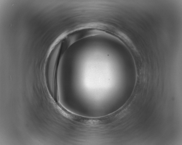 X0000080781180200612151421