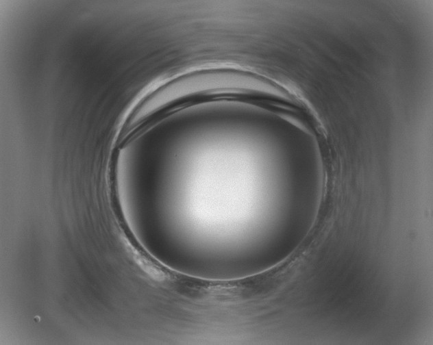 X0000080781181200612151421