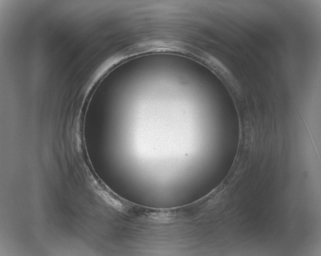 X0000080781182200612151421