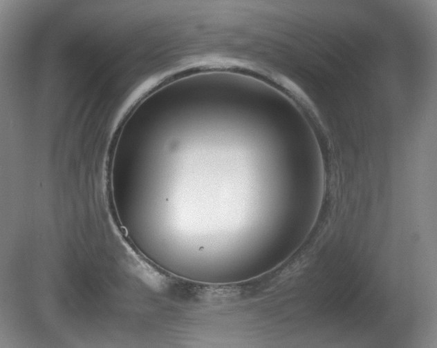 X0000080781183200612151421