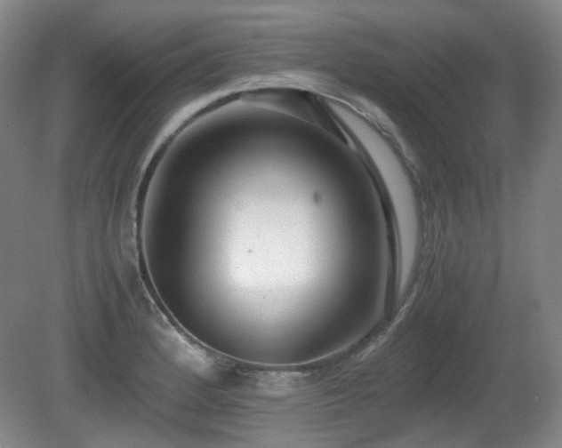 X0000080781184200612151421