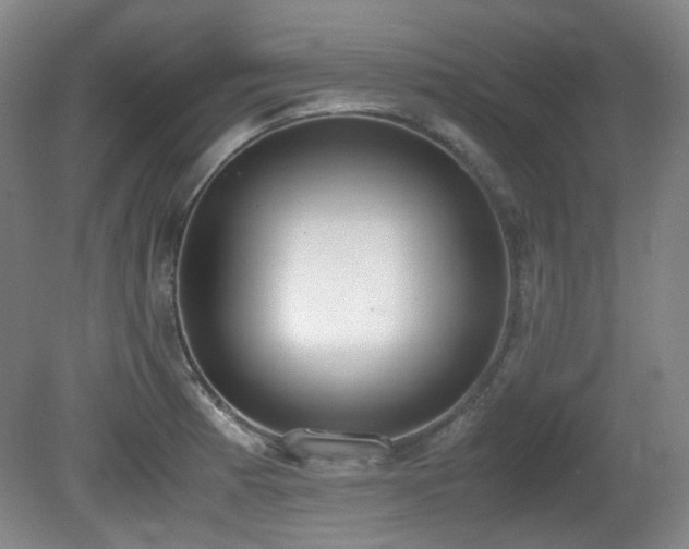 X0000080781185200612151421