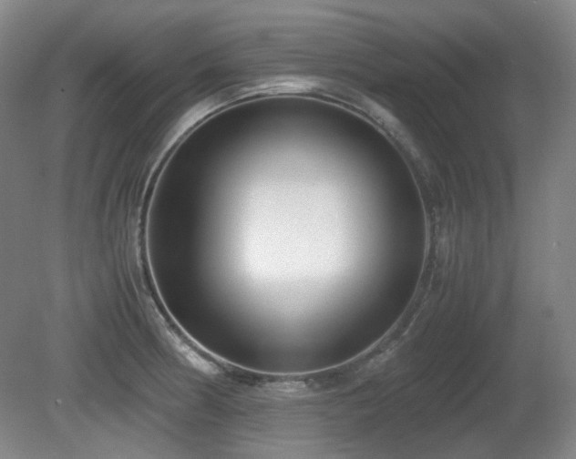 X0000080781186200612151421