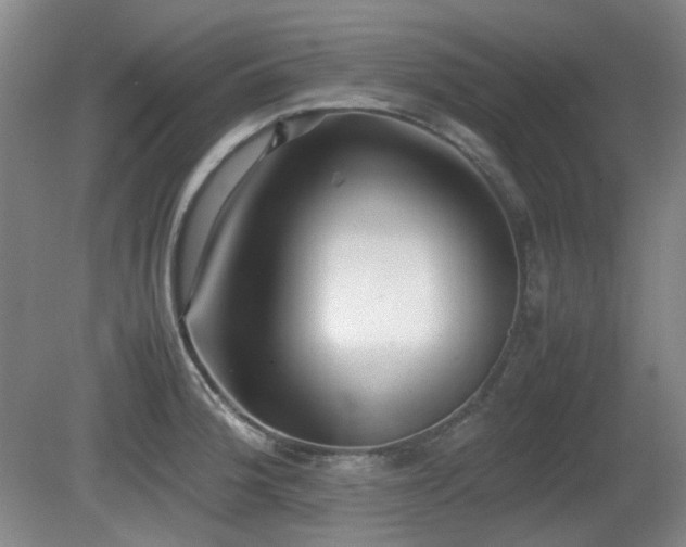X0000080781188200612151421