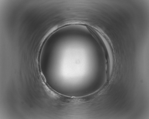 X0000080781189200612151421