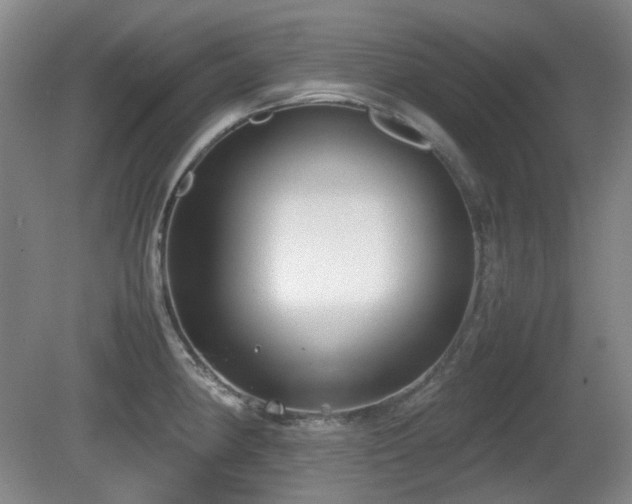 X0000080781190200612151421
