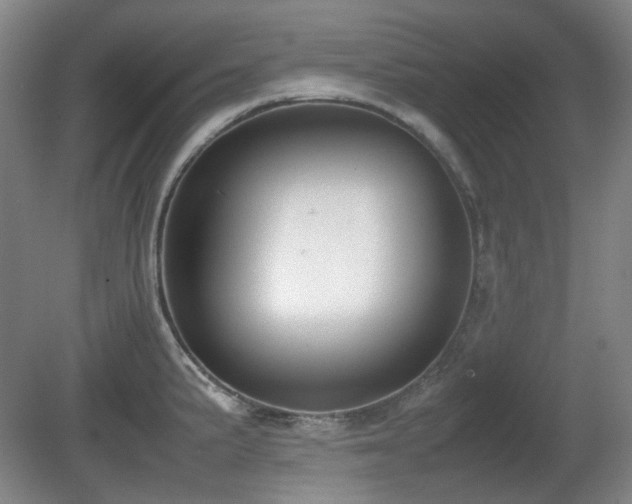 X0000080781191200612151421