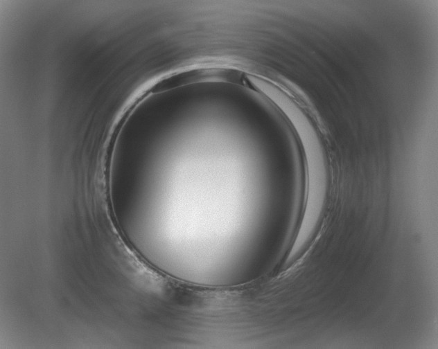 X0000080781192200612151421