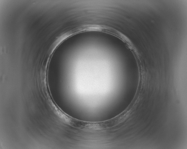 X0000080781194200612151421