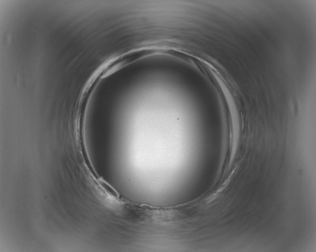 X0000080781196200612151421