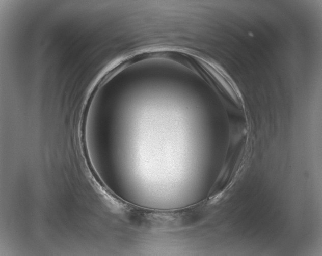 X0000080781197200612151421