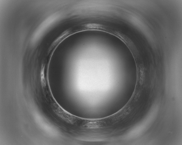 X0000080781198200612151421