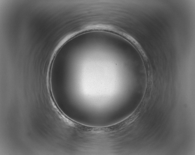 X0000080781199200612151421