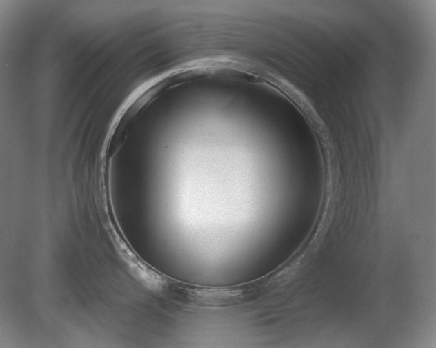 X0000080781200200612151421