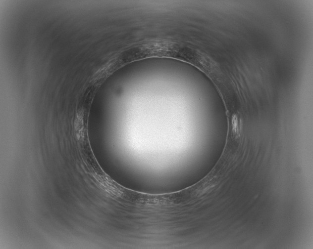 X0000080781203200612151420