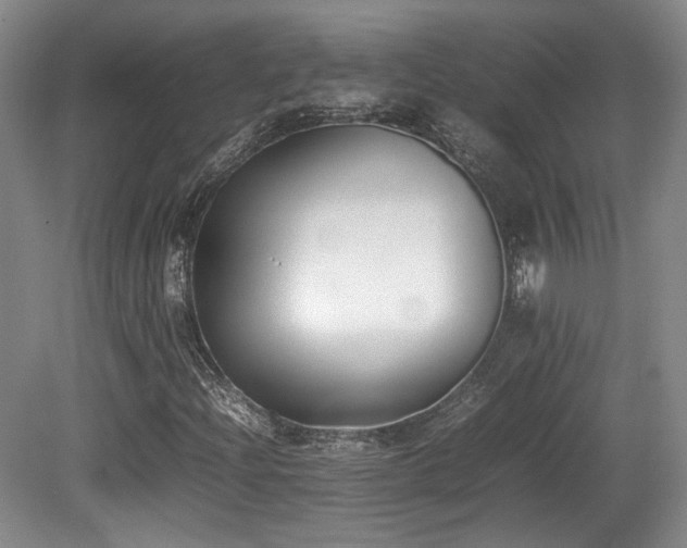 X0000080781204200612151420