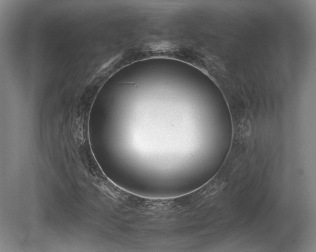 X0000080781205200612151420