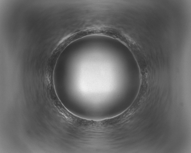 X0000080781206200612151420