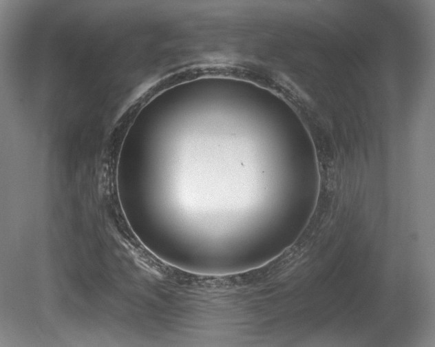 X0000080781208200612151420