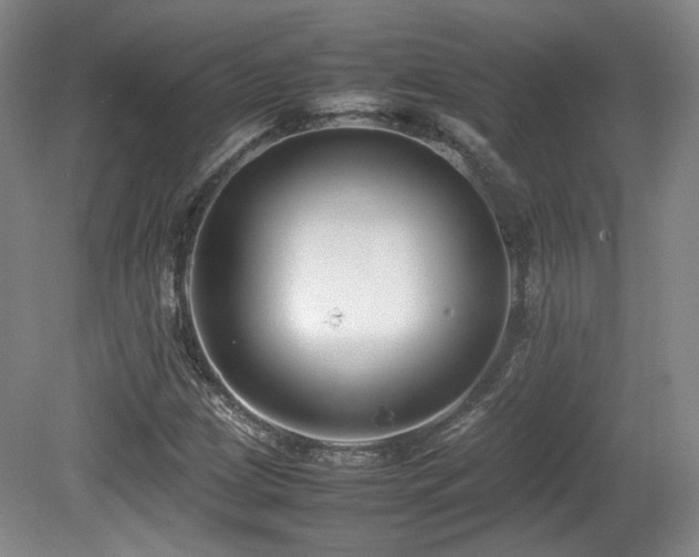 X0000080781209200612151420