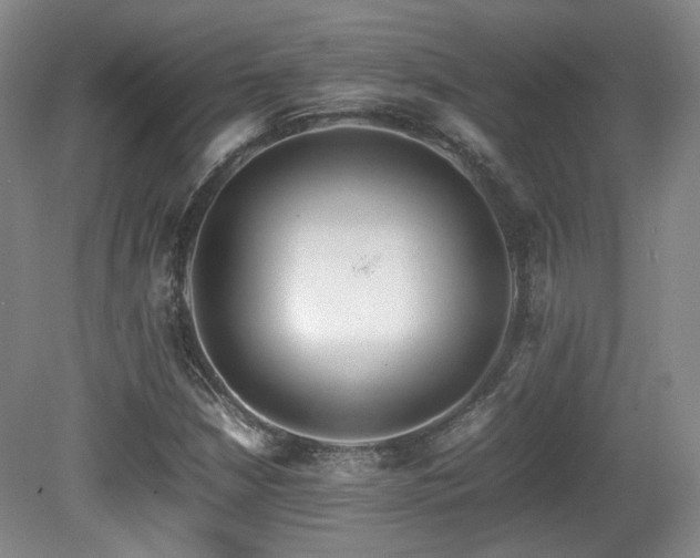 X0000080781210200612151420