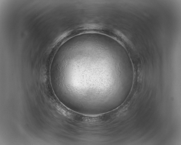 X0000080781213200612151420