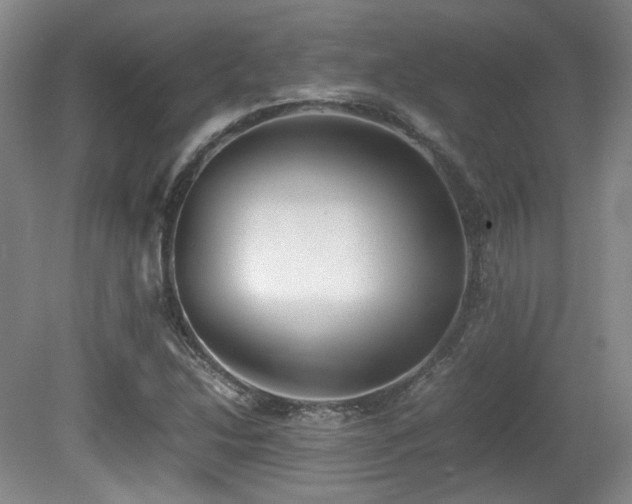 X0000080781214200612151420