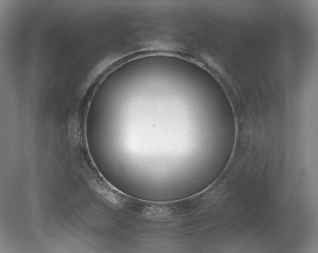 X0000080781215200612151420