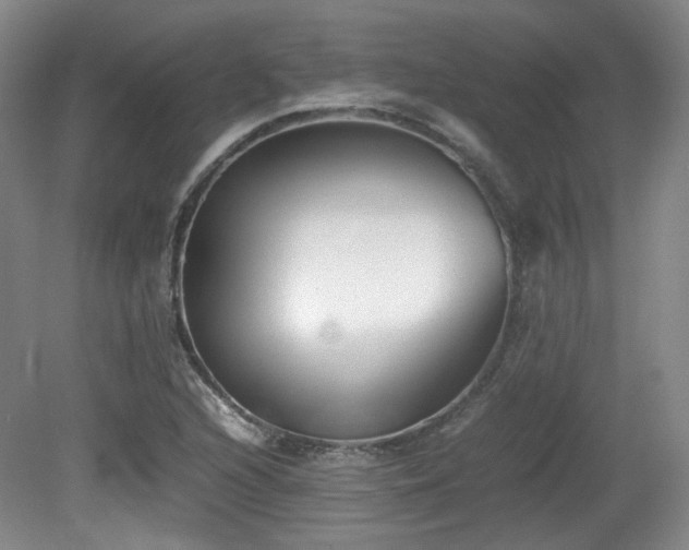 X0000080781216200612151420