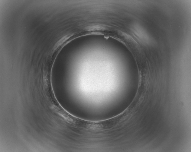 X0000080781217200612151420